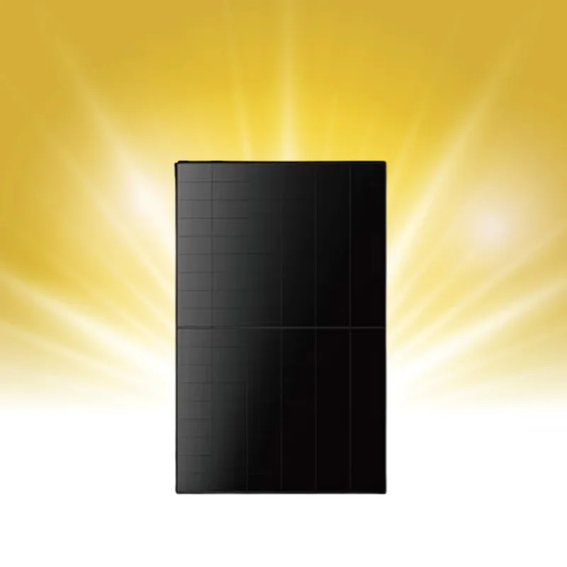 Meistverkauft Longi EcoLife LR7-54HJBB-490M Glas Glas Full Black - 490 Wp